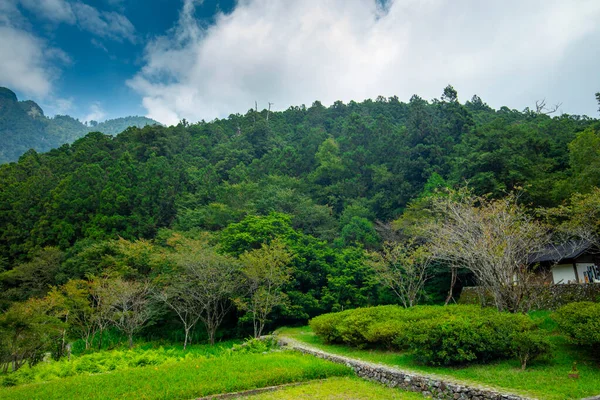 Der Wald Und Bergseen Mingchi Yilan County Taiwan Ist Eine — Stockfoto