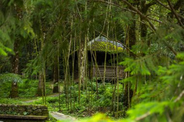 Yilan County, Tayvan 'da ormanları, dağları ve gölleri olan Mingchi ormanlarda dinlenmek için pavyonlar.