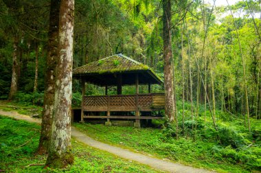 Yilan County, Tayvan 'da ormanları, dağları ve gölleri olan Mingchi ormanlarda dinlenmek için pavyonlar.