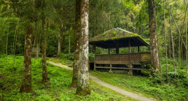 Yilan County, Tayvan 'da ormanları, dağları ve gölleri olan Mingchi ormanlarda dinlenmek için pavyonlar.