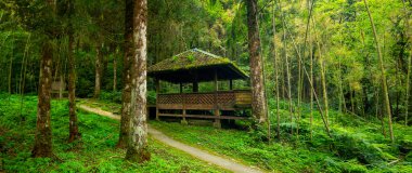 Yilan County, Tayvan 'da ormanları, dağları ve gölleri olan Mingchi ormanlarda dinlenmek için pavyonlar.