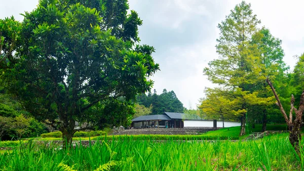 Centro Visitatori Mingchi Foreste Montagne Laghi Contea Yilan Taiwan — Foto Stock