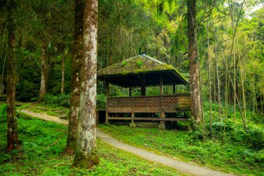 Yilan County, Tayvan 'da ormanları, dağları ve gölleri olan Mingchi ormanlarda dinlenmek için pavyonlar.