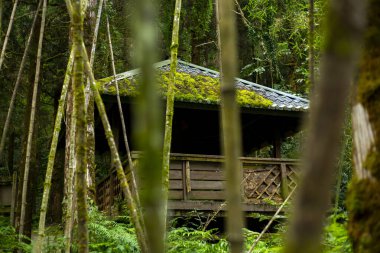 Yilan County, Tayvan 'da ormanları, dağları ve gölleri olan Mingchi ormanlarda dinlenmek için pavyonlar.