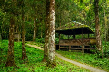 Yilan County, Tayvan 'da ormanları, dağları ve gölleri olan Mingchi ormanlarda dinlenmek için pavyonlar.
