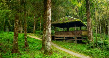 Yilan County, Tayvan 'da ormanları, dağları ve gölleri olan Mingchi ormanlarda dinlenmek için pavyonlar.