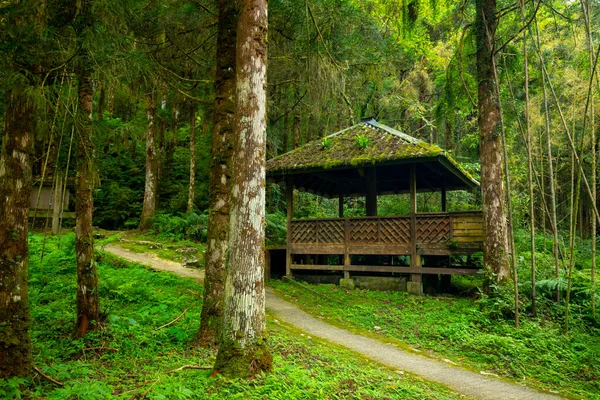 明池与森林 台湾宜兰县 亭子休息在森林里 — 图库照片
