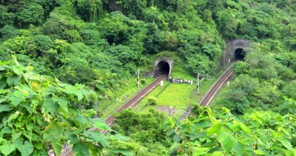 Chongde Railway Tunnel Train Bij Qingshui Cliff Suhua Highway Taiwan — Stockvideo