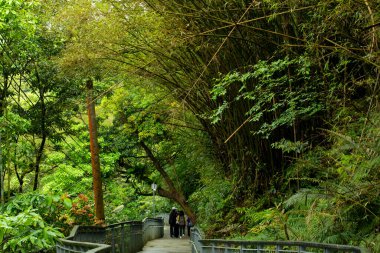 Orman Yolu, Shifenliao Şelale Parkı, New Taipei Şehri, Tayvan