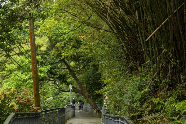 Forest Trail Shifenliao Waterfall Park Nova Cidade Taipei Taiwan — Fotografia de Stock