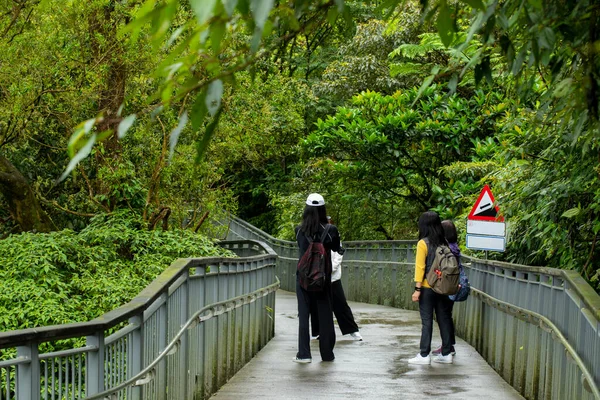 Lesní Stezka Shifenliao Vodopád Park New Taipei City Taiwan — Stock fotografie