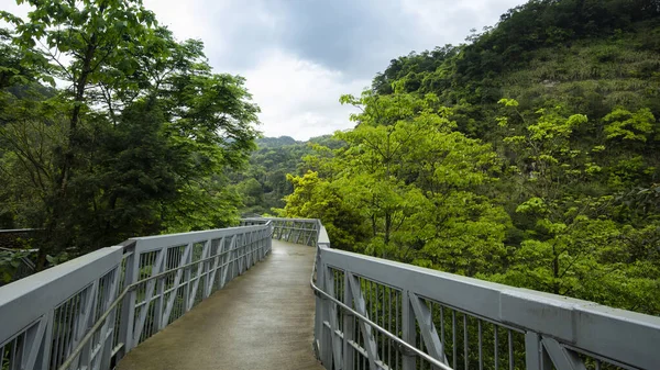 Waldpfad Shifenliao Wasserfall Park New Taipei City Taiwan — Stockfoto