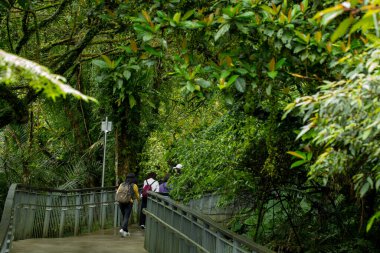 Orman Yolu, Shifenliao Şelale Parkı, New Taipei Şehri, Tayvan