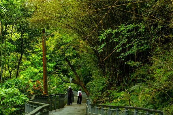Ścieżka Leśna Park Wodospadów Shifenliao New Taipei Tajwan — Zdjęcie stockowe
