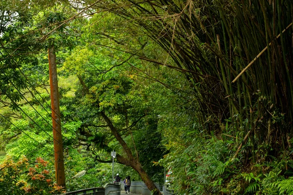Orman Yolu Shifenliao Şelale Parkı New Taipei Şehri Tayvan — Stok fotoğraf