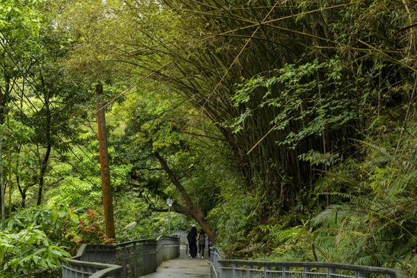 Lesní Stezka Shifenliao Vodopád Park New Taipei City Taiwan — Stock fotografie