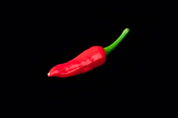 Rote Paprika Auf Schwarzem Hintergrund — Stockfoto