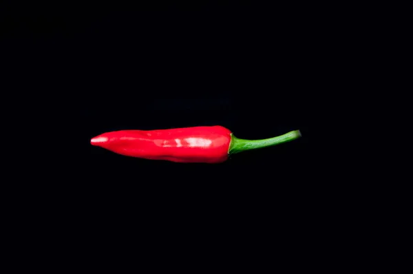 Rote Paprika Auf Schwarzem Hintergrund — Stockfoto