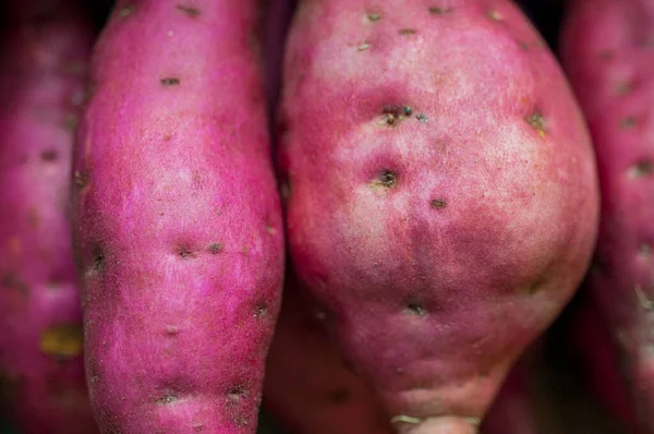 Mycket Viktiga Baslivsmedel Människor Sötpotatis Även Kallad Sötpotatis — Stockfoto