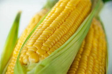 Mısır insanlar için önemli bir yemektir.