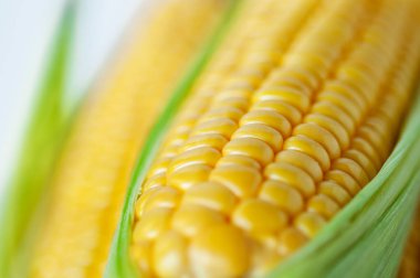 Mısır insanlar için önemli bir yemektir.