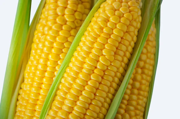 Кукурудза Важливою Основною Їжею Людини — стокове фото