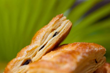 Çıtır Kurabiye Melaleuca Akçaağaç Turtası