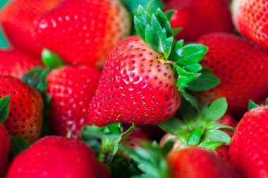 Taze sulu çilek kaybi.