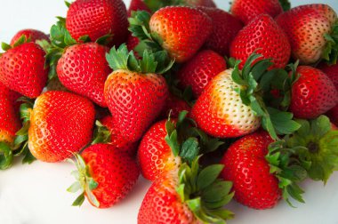 Taze sulu çilek kaybi.