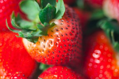 Taze sulu çilek kaybi.