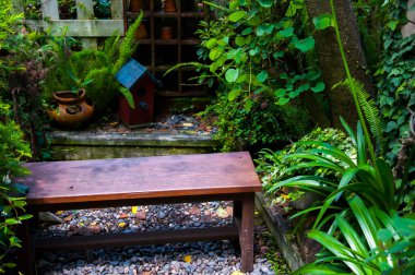 Bahçede yeşillik dolu gizli bir bahçe.