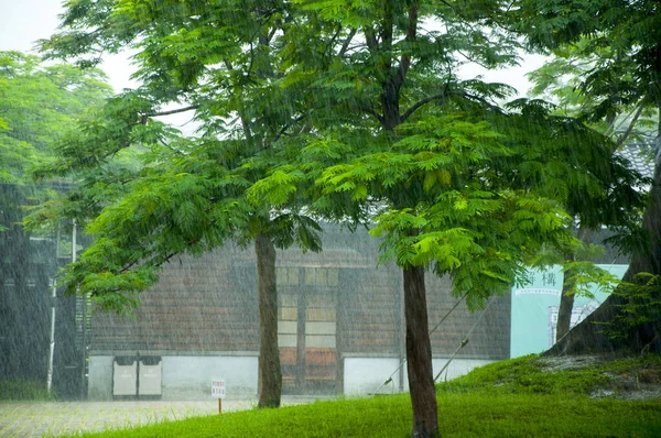 Taichung Cultural and Creative Industries Park, Taichung Winery in the rain