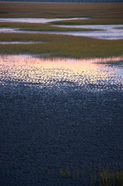 Gaomei Wetland Park Taichung West Coast Attraction Taiwan — стокове фото