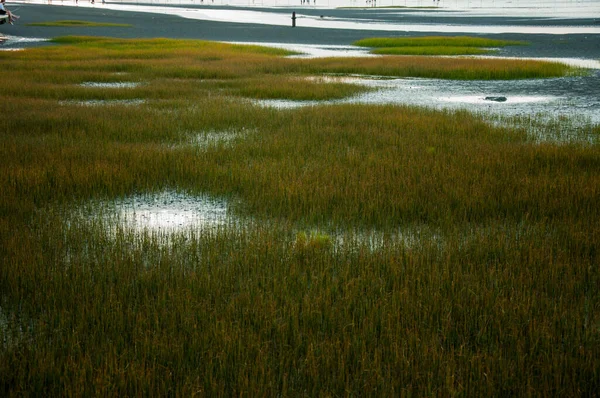 Gaomei Wetland Park Taichung West Coast Attraction Taiwan — Foto Stock