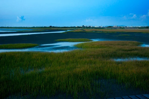 Gaomei Wetland Parkı Taichung Batı Yakası Çekimi Tayvan — Stok fotoğraf