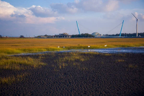 台湾台中西海岸景区高梅湿地公园 — 图库照片