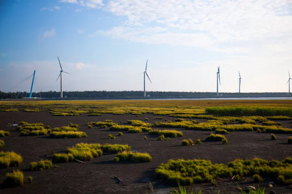 Windmills in Gaomei Wetland Park, a scenic spot on the west coast of Taichung, Taiwan