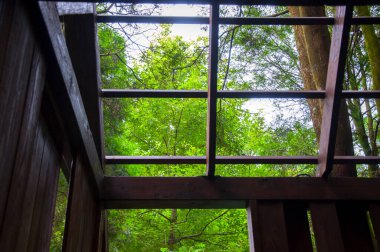 Yoğun bir ormandaki ağaç ev ziyaretçilere ormanı gösteriyor.