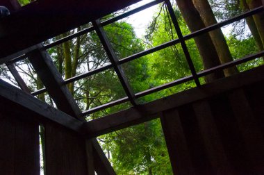 Yoğun bir ormandaki ağaç ev ziyaretçilere ormanı gösteriyor.