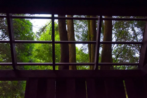 Une Cabane Dans Une Forêt Dense Qui Offre Aux Visiteurs — Photo