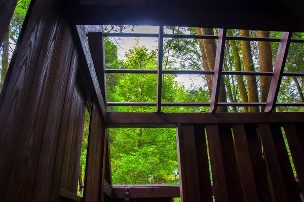 Yoğun bir ormandaki ağaç ev ziyaretçilere ormanı gösteriyor.