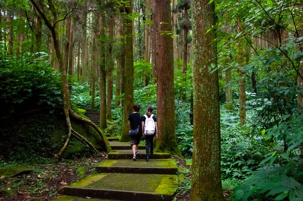 Tayvan Xitou Orman Koruma Alanı, Orman Yolu