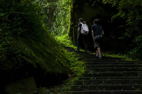 Tayvan Xitou Orman Koruma Alanı, Orman Yolu