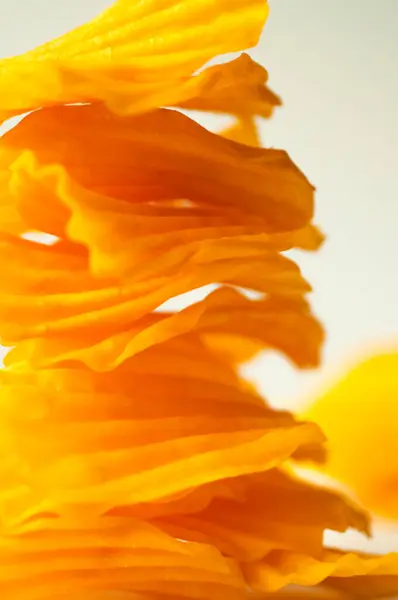 Closeup Golden Sweet Potato Chips White Background — Stock Photo, Image