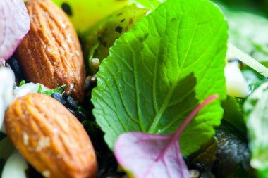 Çeşitli sebzeli ve fındıklı marul salatası.