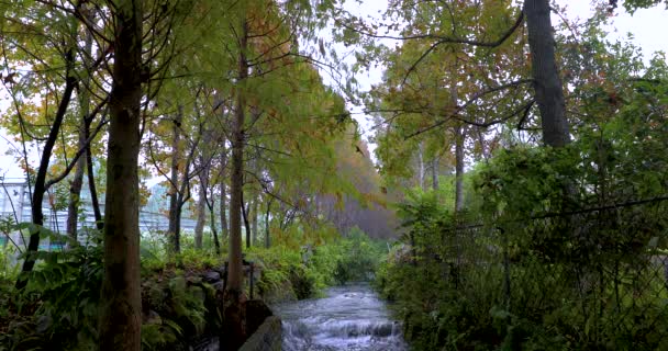 흐르는 수로는 의작은 시내처럼 흐른다 — 비디오