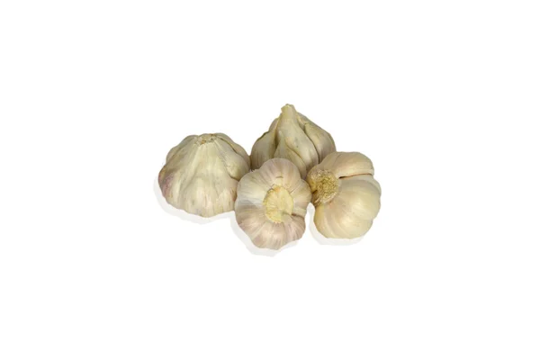 Bawang putih segar — Stok Foto