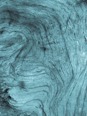 ahşap tahta crack arka yüzeyi