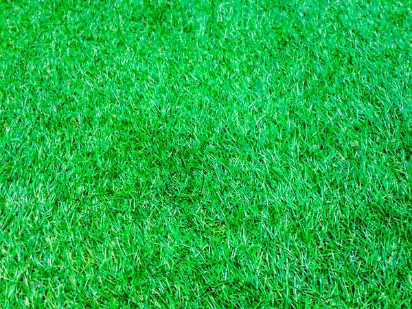 Grama verde superfície do solo — Fotografia de Stock