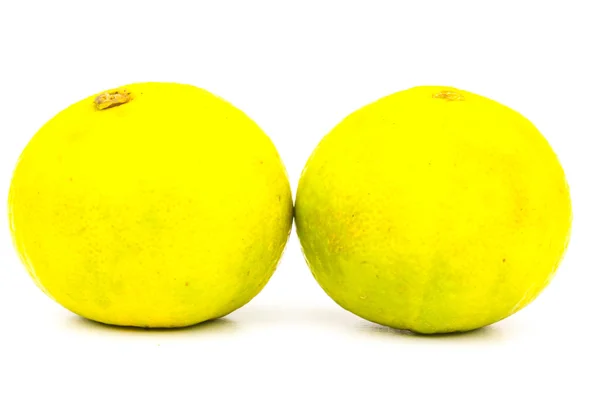 Зеленый лимон на белом фоне — стоковое фото